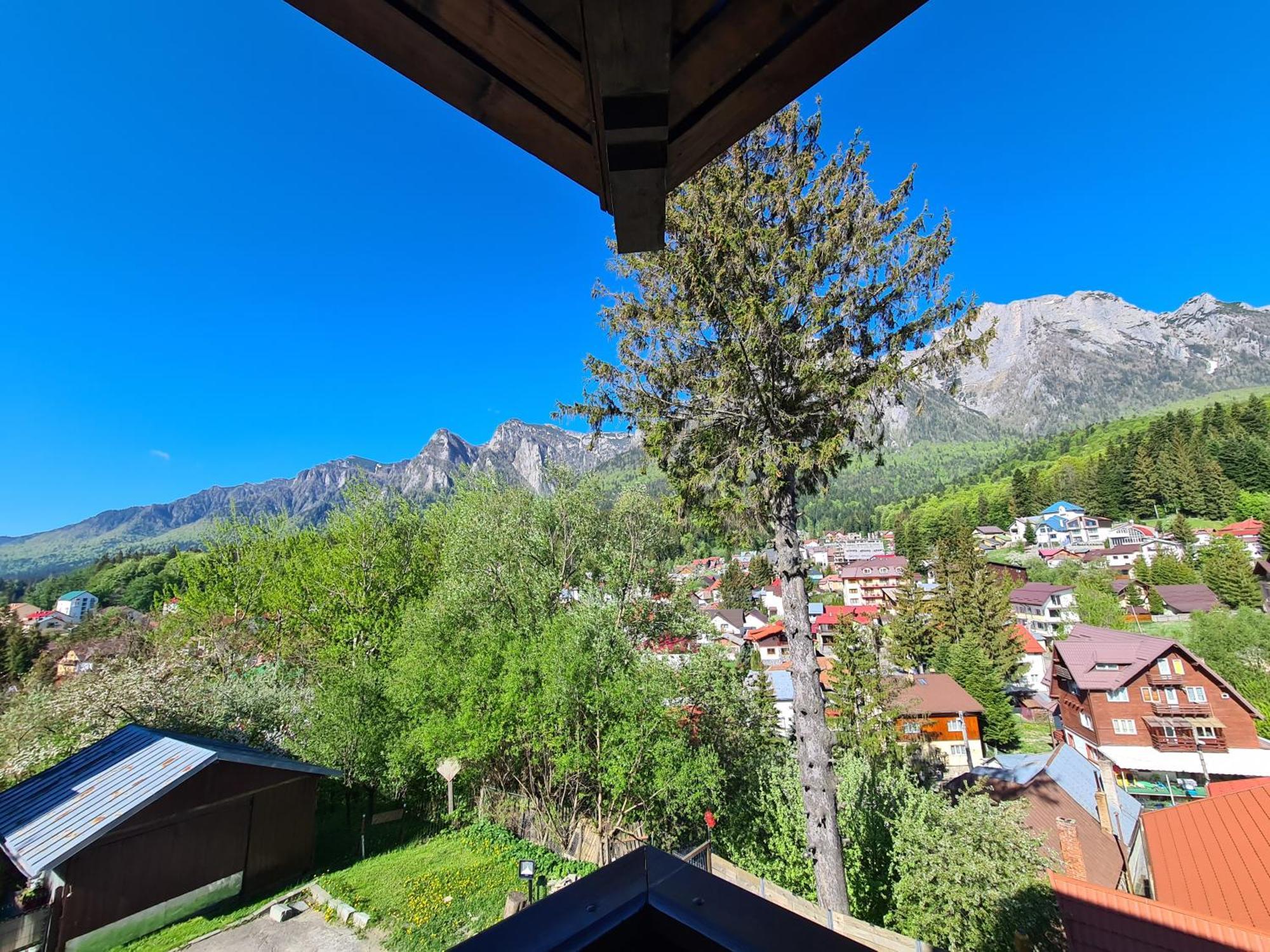 Casa Florescu Буштени Экстерьер фото